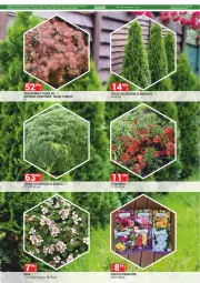 Gazetka promocyjna Merkury Market - Gazetka - ważna od 31.03 do 31.03.2025 - strona 3 - produkty: Chrzan, Pur, Pigwowiec, Odol