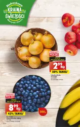 Gazetka promocyjna Biedronka - Od czwartku - Gazetka - ważna od 02.08 do 02.08.2023 - strona 18 - produkty: Cebula, Borówka, Borówka amerykańska