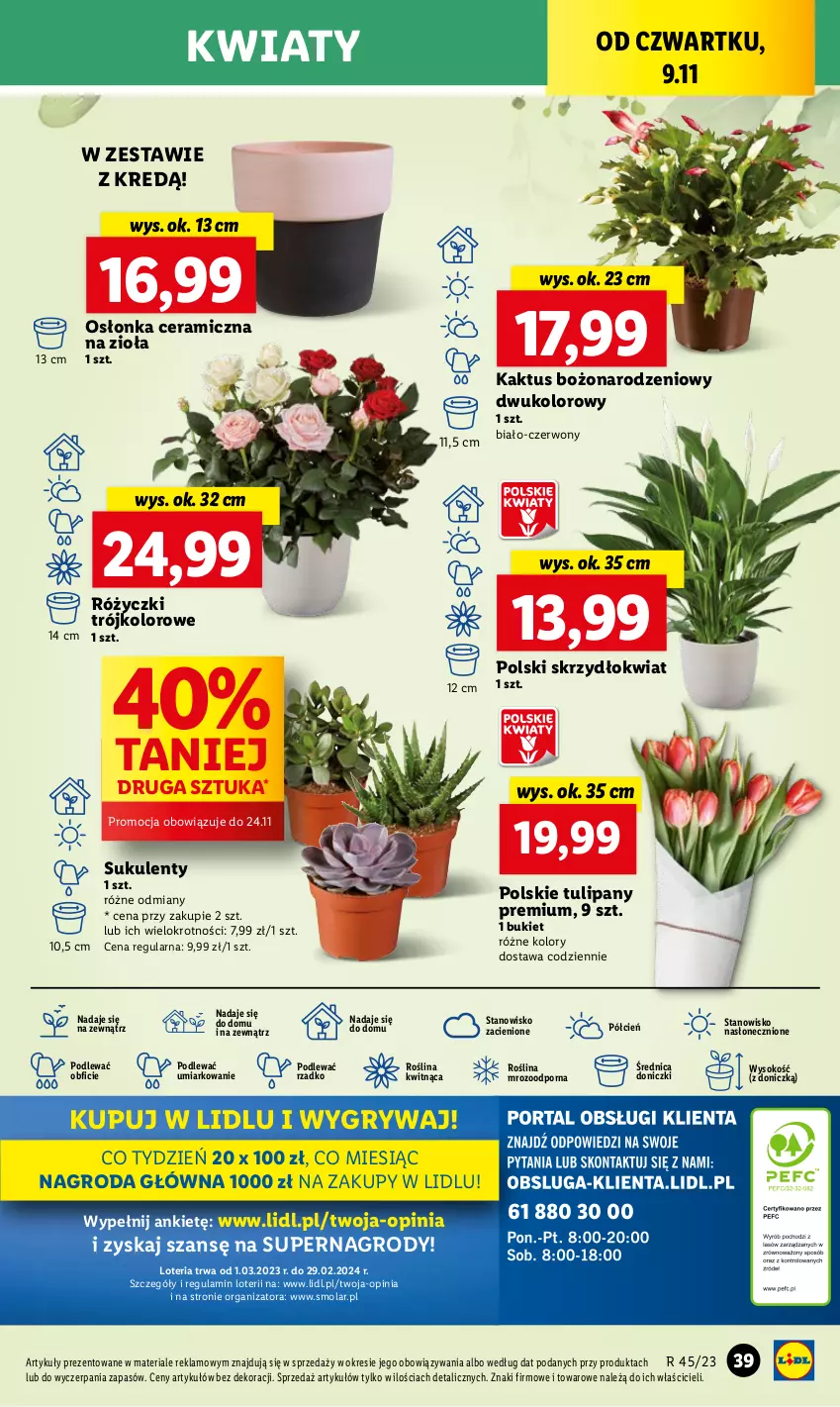 Gazetka promocyjna Lidl - GAZETKA - ważna 09.11 do 10.11.2023 - strona 55 - produkty: Bukiet, Cień, Gry, Kaktus, Mola, O nas, Osłonka, Por, Sok, Sukulent, Tulipan