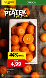 Gazetka promocyjna Lidl - GAZETKA - Gazetka - ważna od 10.11 do 10.11.2023 - strona 28 - produkty: Mandarynki, Owoce