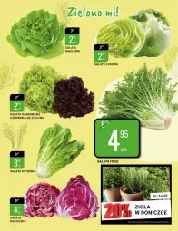Gazetka promocyjna Bi1 - Soczyste okazje - Gazetka - ważna od 16.08 do 16.08.2022 - strona 3 - produkty: Sałata masłowa, Sałata lodowa, Sałat, Masło