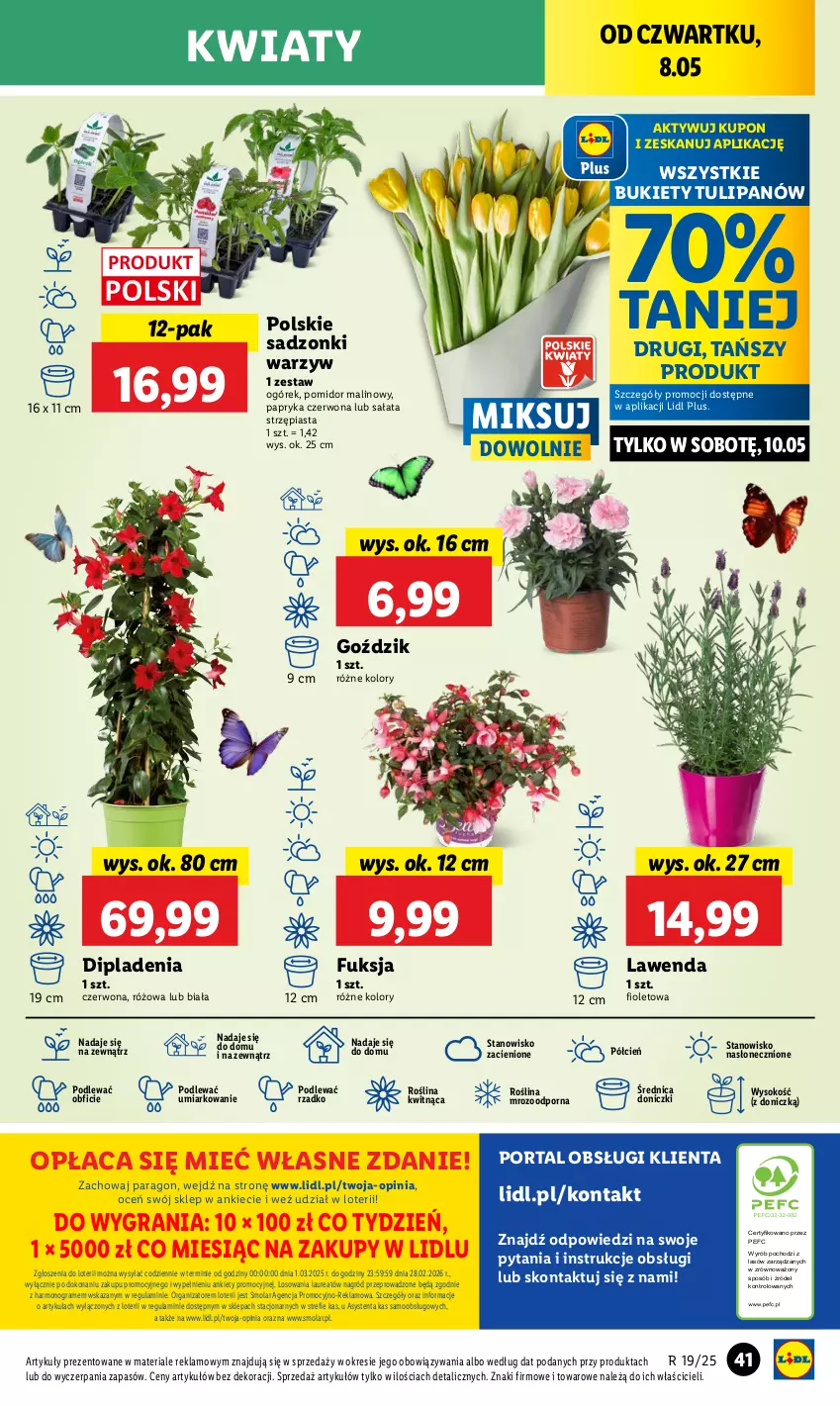 Gazetka promocyjna Lidl - GAZETKA - ważna 08.05 do 10.05.2025 - strona 49 - produkty: Bukiet, Cień, Gra, Laur, Mola, O nas, Ogórek, Papryka, Papryka czerwona, Piast, Pomidor malinowy, Por, Portal, Sałat, Sok, Tulipan