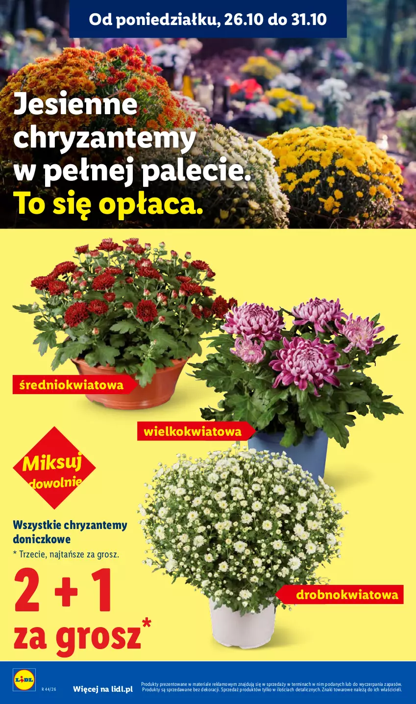 Gazetka promocyjna Lidl - Gazetka - ważna 26.10 do 28.10.2026 - strona 44