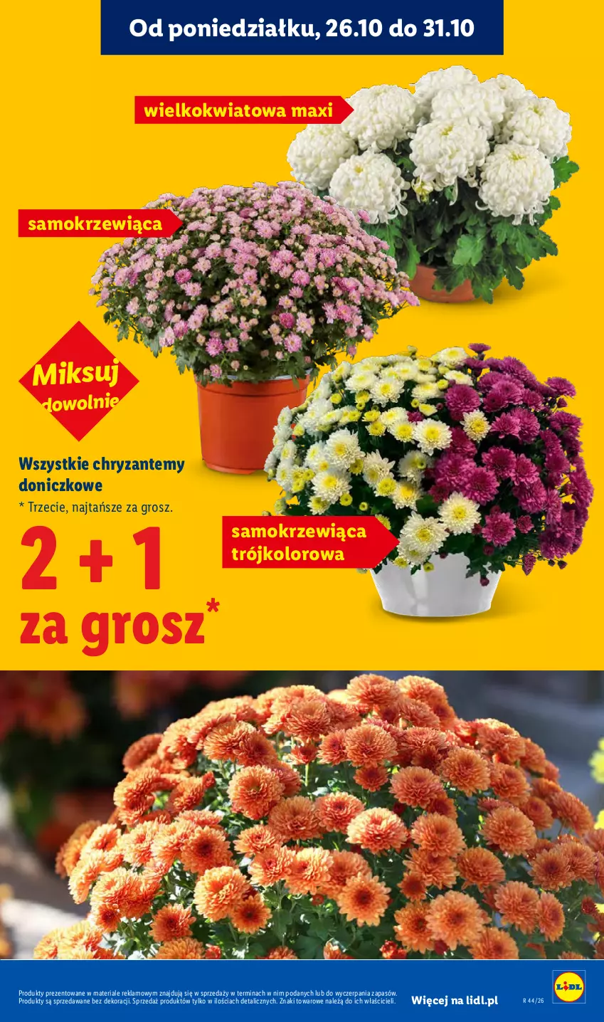 Gazetka promocyjna Lidl - Gazetka - ważna 26.10 do 28.10.2026 - strona 45