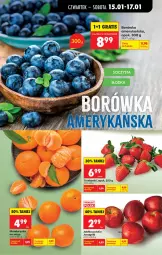 Gazetka promocyjna Biedronka - Gazetka - Gazetka - ważna od 22.01 do 22.01.2026 - strona 31 - produkty: Jonagold, Gra, Borówka, Borówka amerykańska, Truskawki