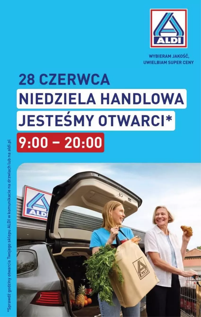 Gazetka promocyjna Aldi - Ostatnie sztuki w wybranych sklepach - ważna 24.06 do 27.06.2026 - strona 9 - produkty: Drzwi