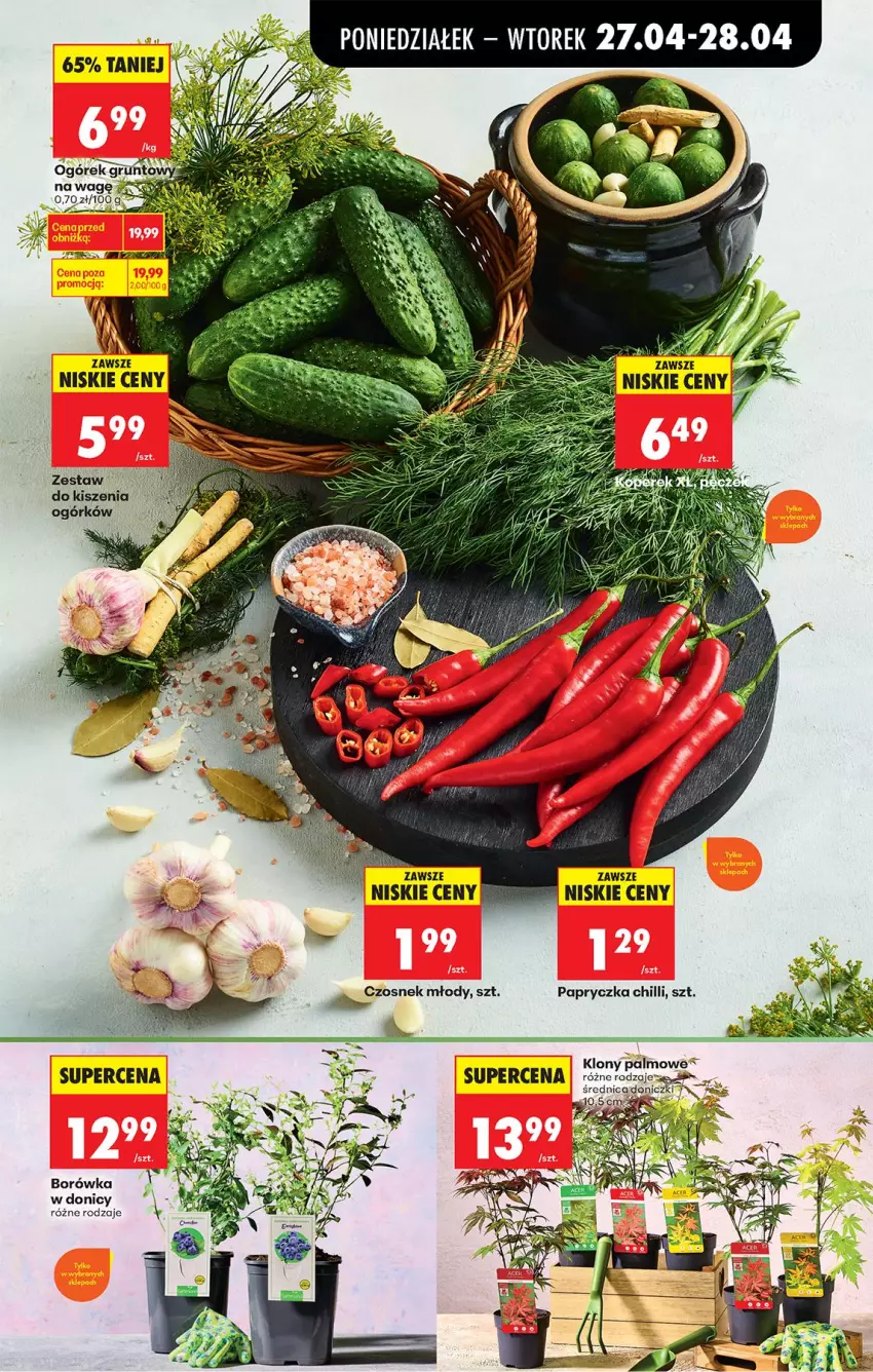 Gazetka promocyjna Biedronka - Od Poniedziałku - ważna 27.04 do 02.05.2026 - strona 42 - produkty: Borówka, Czosnek, Ogórek
