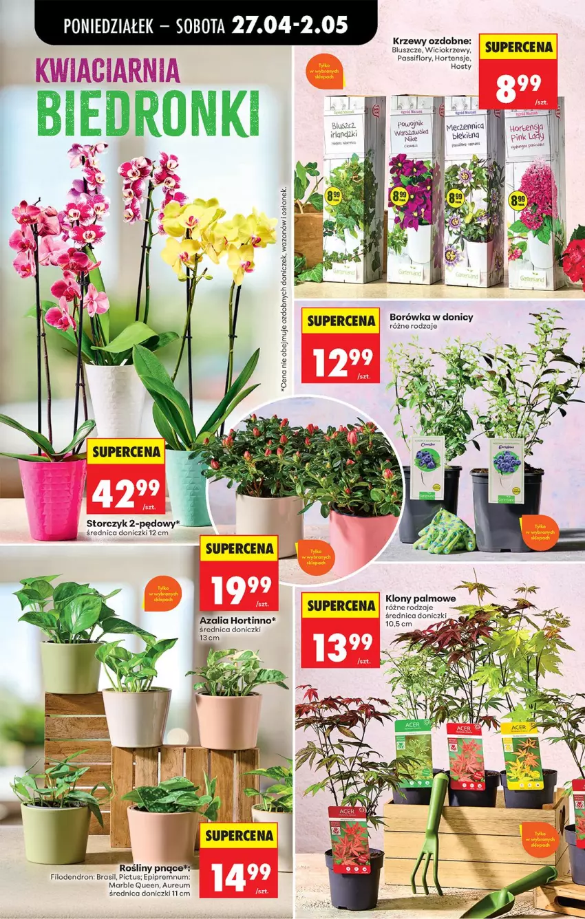 Gazetka promocyjna Biedronka - Od Poniedziałku - ważna 27.04 do 02.05.2026 - strona 91 - produkty: Fa, Nike, Por, Storczyk, Wazon