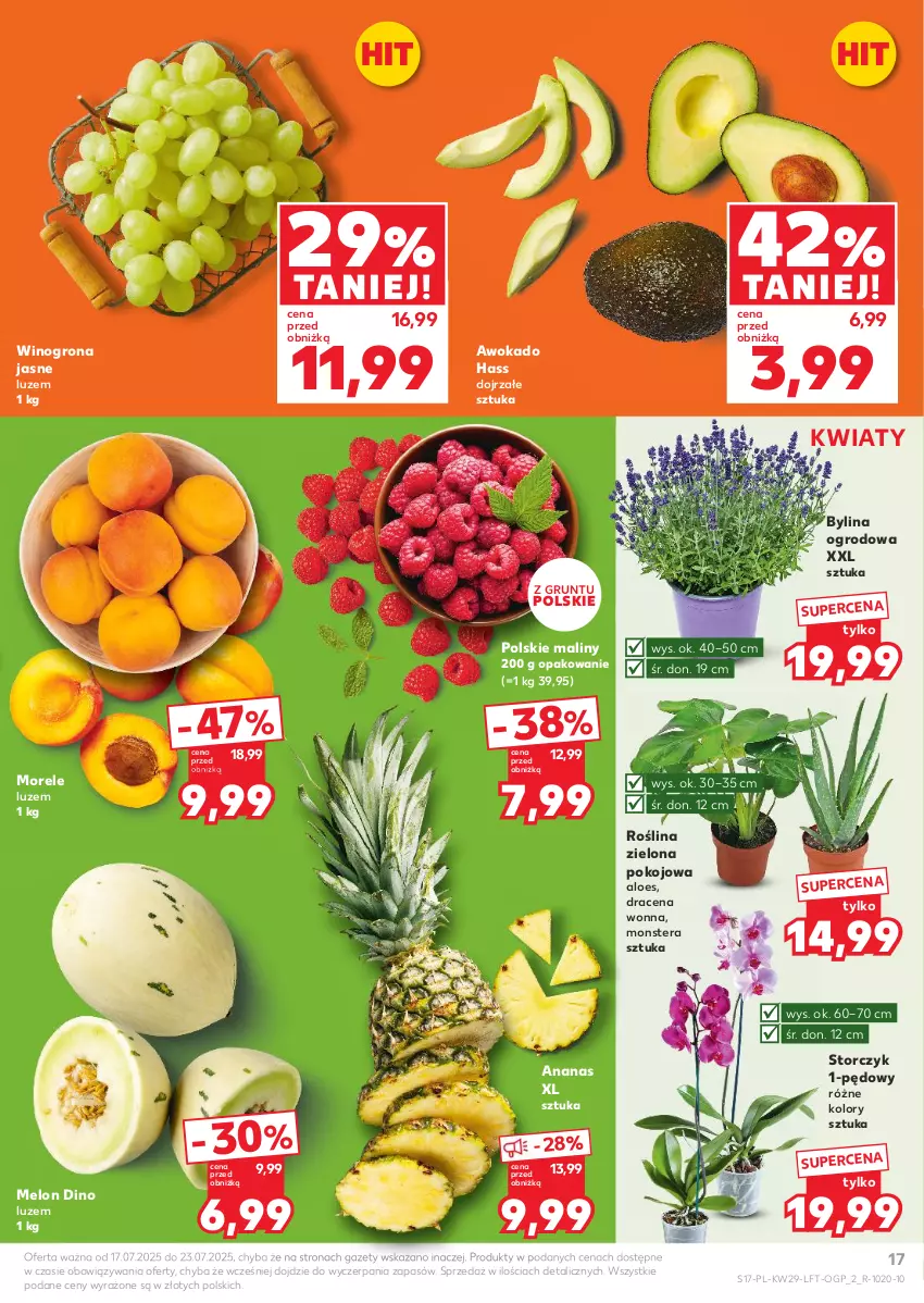 Gazetka promocyjna Kaufland - Gazetka tygodnia - ważna 17.07 do 23.07.2025 - strona 17 - produkty: Ananas, Grunt, Maliny, Melon, Storczyk, Tera, Wino, Winogrona