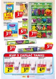 Gazetka promocyjna Prim Market - Gazetka - ważna od 18.09 do 18.09.2024 - strona 15 - produkty: Znicz