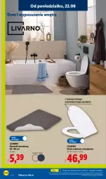 Gazetka promocyjna Lidl - Katalog ważny od 22.06 - Gazetka - ważna od 27.06 do 27.06.2026 - strona 20 - produkty: Ivar, Deska sedesowa, Dywanik łazienkowy, Dywanik, Dywan
