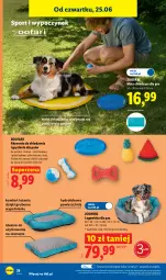 Gazetka promocyjna Lidl - Katalog ważny od 22.06 - Gazetka - ważna od 27.06 do 27.06.2026 - strona 44 - produkty: Por, Gry, Mata chłodząca, LEGO, Sport, Legowisko, Fa