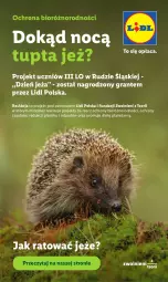Gazetka promocyjna Lidl - Katalog ważny od 22.06 - Gazetka - ważna od 27.06 do 27.06.2026 - strona 58 - produkty: Gra
