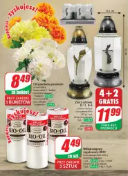 Gazetka promocyjna Dino - Gazetka 38 / 2024 - Gazetka - ważna od 24.09 do 24.09.2024 - strona 62 - produkty: Chryzantema, Bukiet, Znicz, Olej, Wkład olejowy