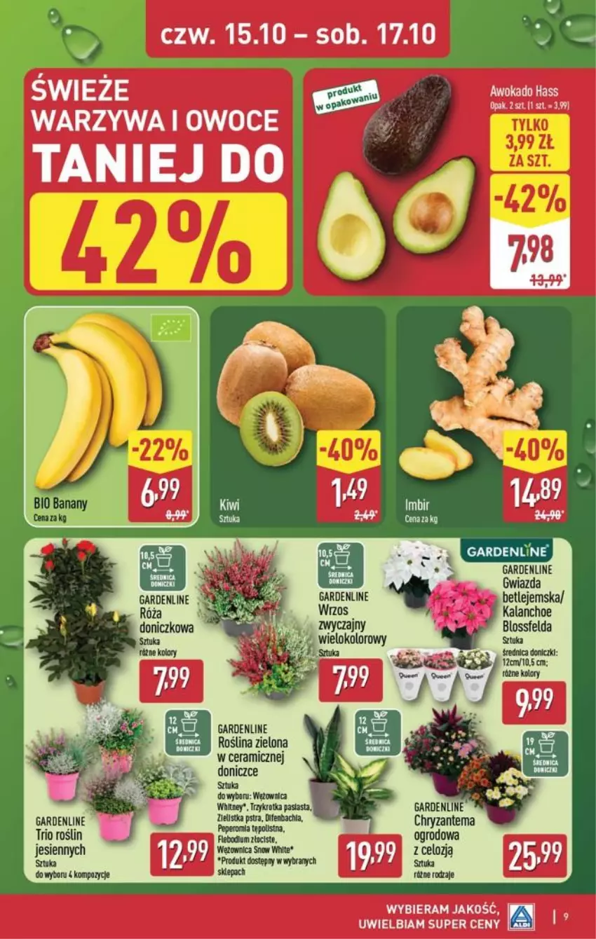 Gazetka promocyjna Aldi - Oferta weekendowa - ważna 15.10 do 17.10.2026 - strona 9 - produkty: Chryzantema, Gwiazda, Kalanchoe, LG, Owoce, Róża, Warzywa