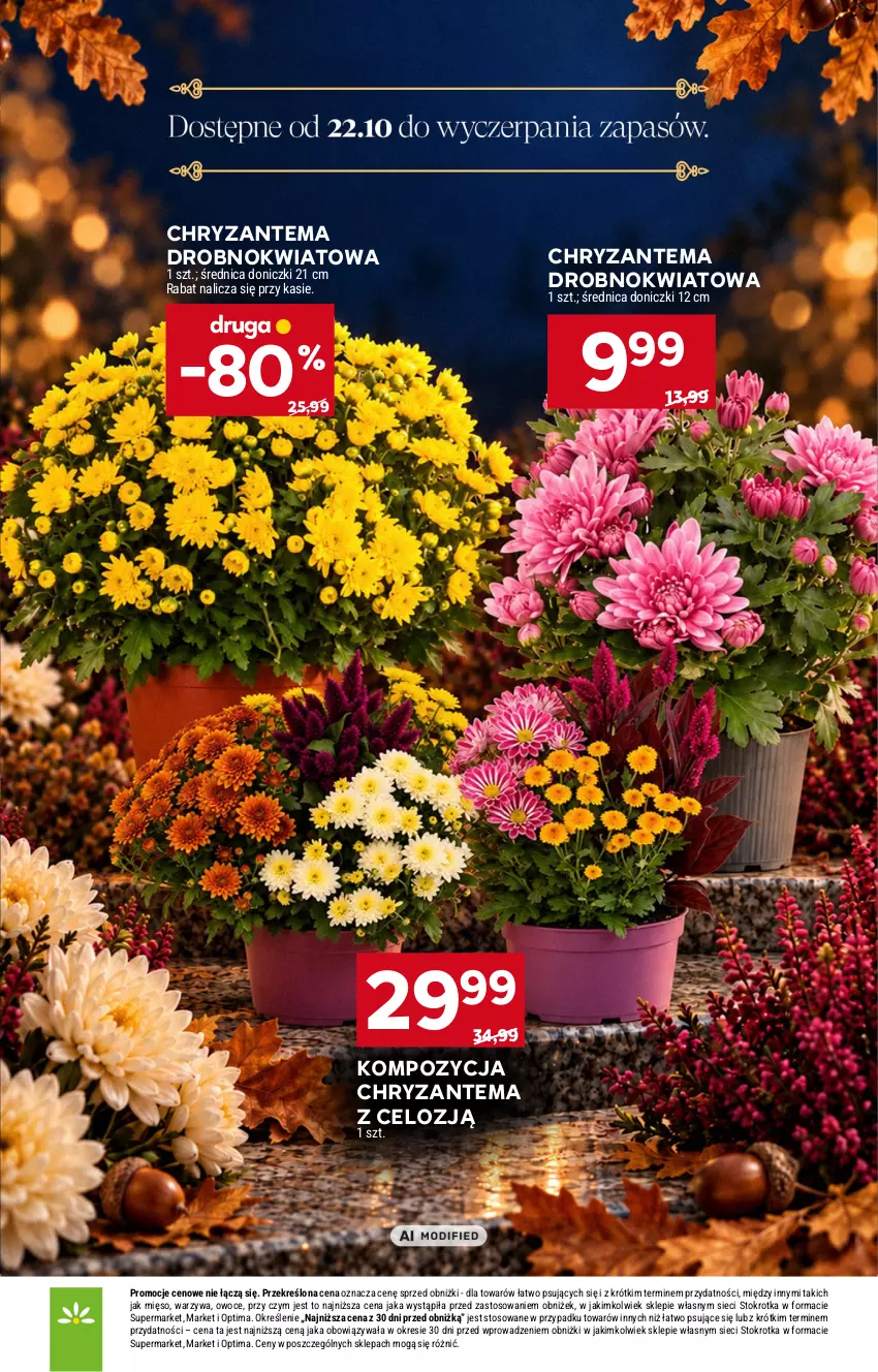Gazetka promocyjna Stokrotka - Katalog Znicze - ważna 15.10 do 04.11.2026 - strona 16 - produkty: Chryzantema, Mięso, Optima, Owoce, Warzywa