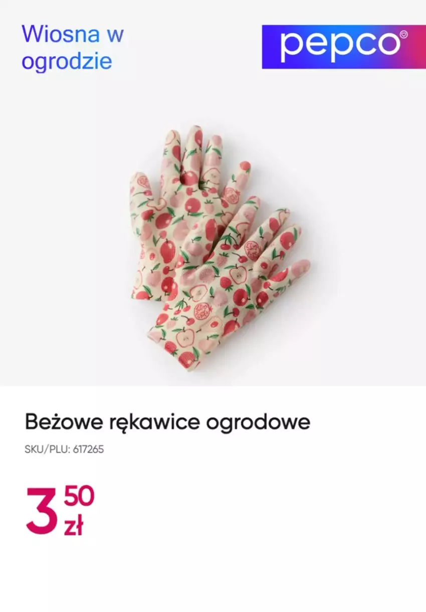 Gazetka promocyjna Pepco - ważna 14.03 do 04.04.2025 - strona 10 - produkty: Rękawice