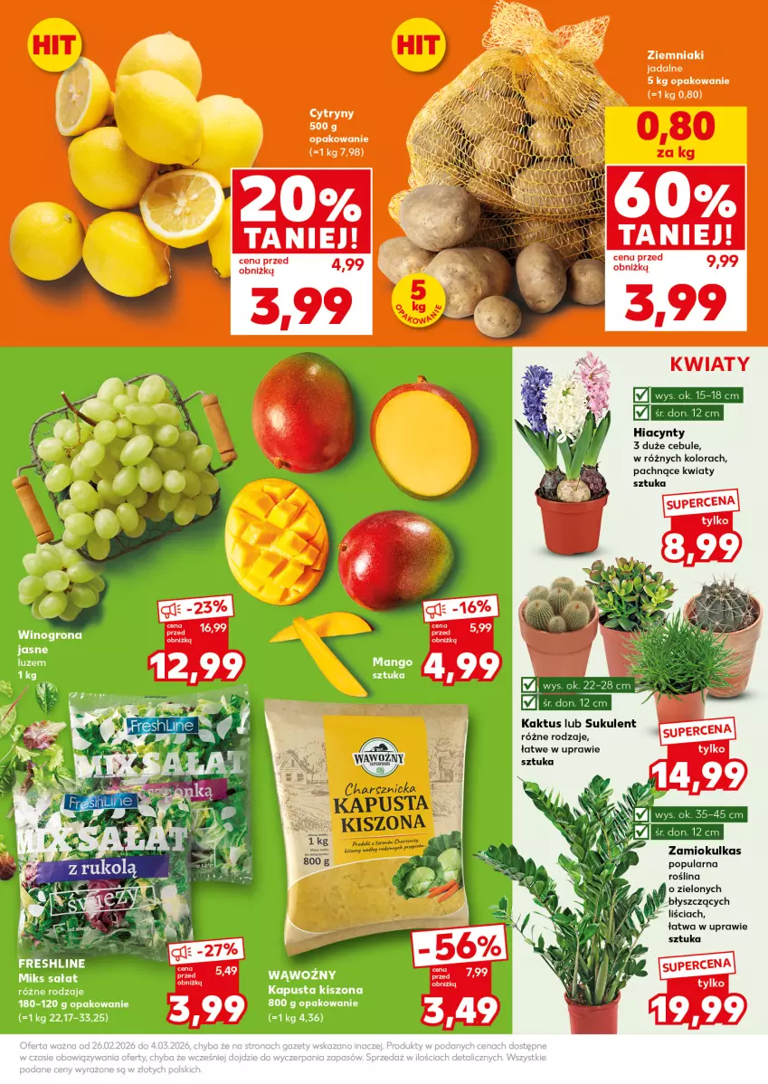 Gazetka promocyjna Kaufland - Mocny Start - ważna 02.03 do 04.03.2026 - strona 9 - produkty: Cytryny, Fa, Hiacynt, Kaktus, Sukulent, Ziemniaki