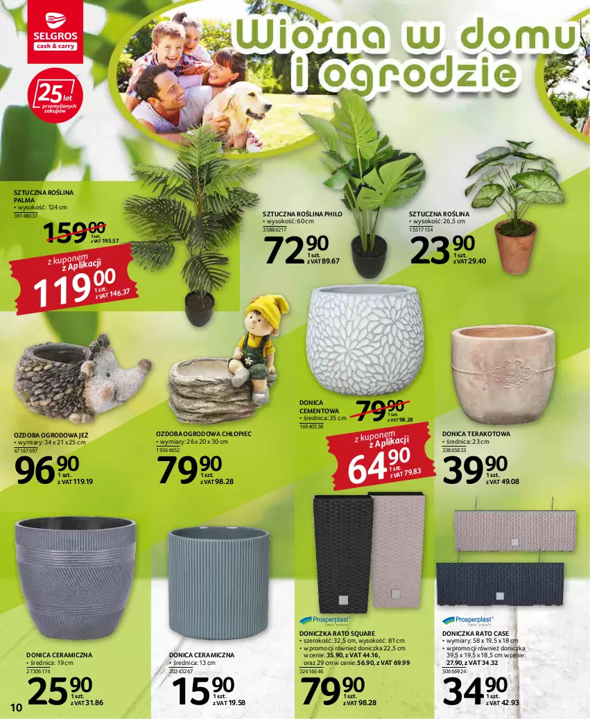 Gazetka promocyjna Selgros - Katalog Ogród - ważna 17.03 do 30.03.2022 - strona 10 - produkty: Cement, Ozdoba, Palma, Piec, Sok, Tera