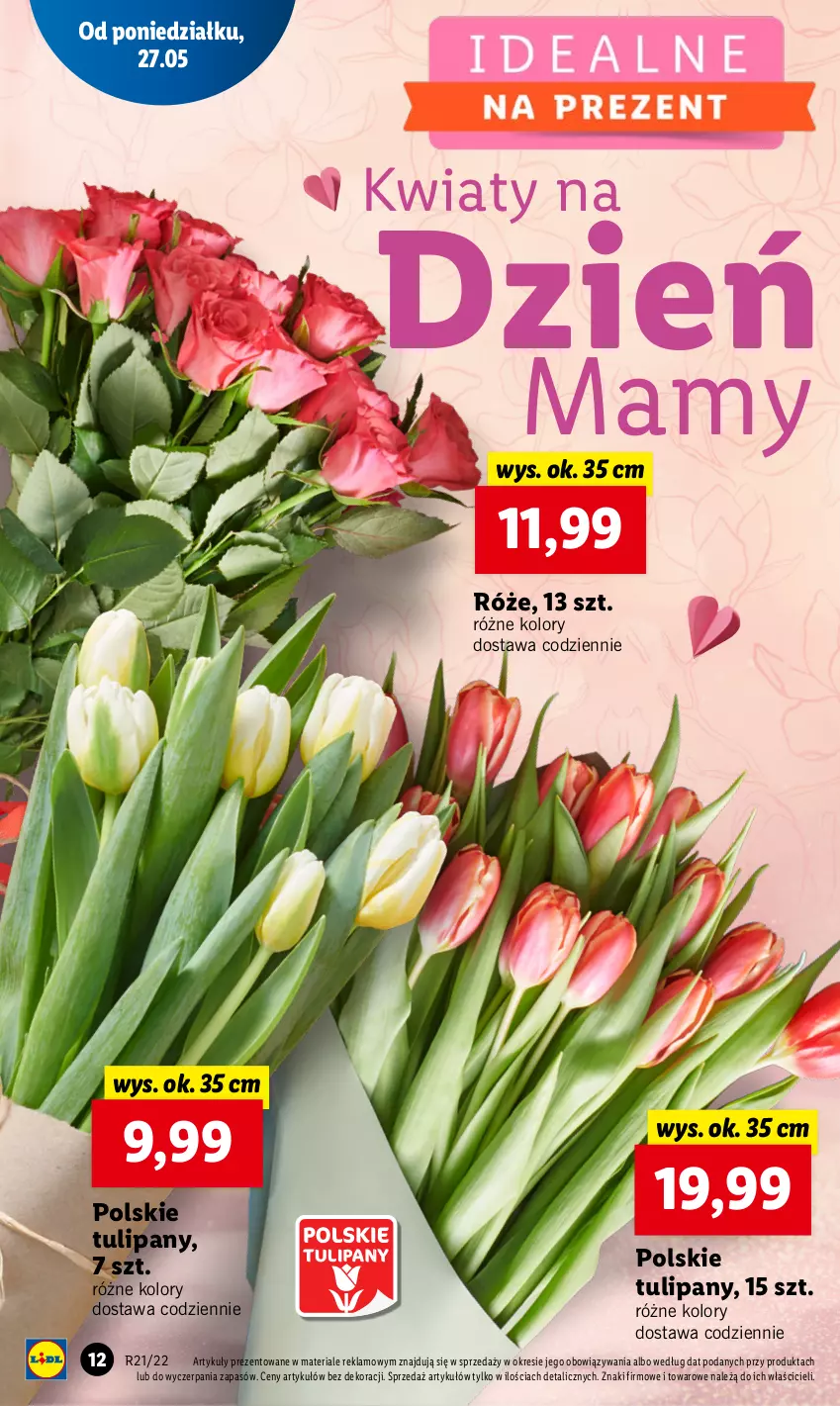 Gazetka promocyjna Lidl - GAZETKA - ważna 23.05 do 25.05.2022 - strona 12 - produkty: Tulipan