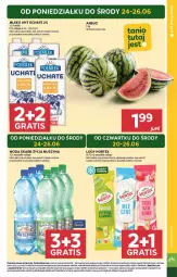 Gazetka promocyjna Stokrotka - Supermarket - Gazetka - ważna od 26.06 do 26.06.2024 - strona 5 - produkty: Warzywa, Por, Mus, Lody, Szyna, Owoce, POLMLEK, Arbuz, Woda, Mięso, Hortex, Mleko