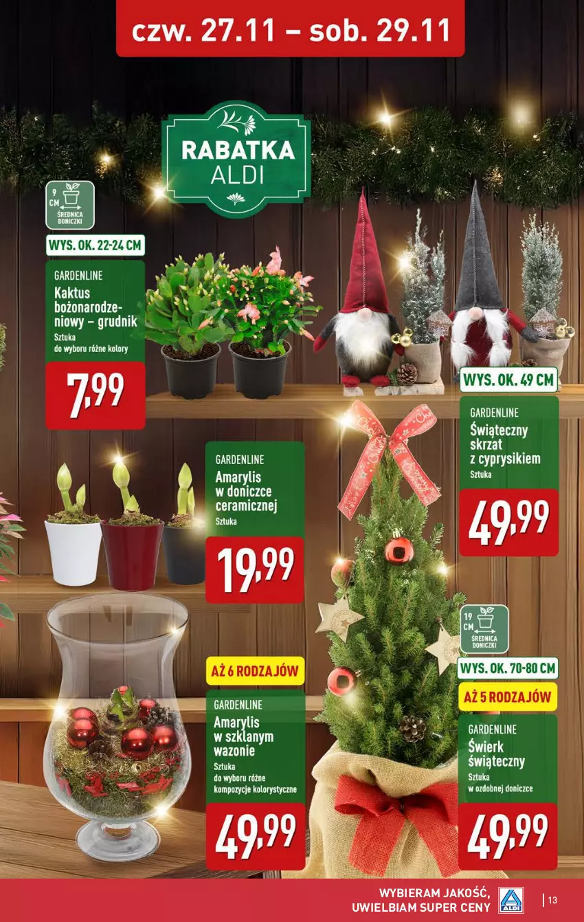 Gazetka promocyjna Aldi - Okazje weekendowe - ważna 27.11 do 29.11.2025 - strona 13