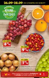 Gazetka promocyjna Biedronka - Od Czwartku - Gazetka - ważna od 02.10 do 02.10.2024 - strona 18 - produkty: Cebula, Wino, Pomidory