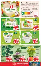 Gazetka promocyjna Kaufland - OFERTA TYGODNIA - Gazetka - ważna od 07.07 do 07.07.2021 - strona 26 - produkty: Piec, Warzywa, Top, Sól, Maślanka, Twaróg, Jaja, Cynk, Tera, Twaróg półtłusty, Owoce