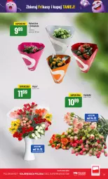Gazetka promocyjna PoloMarket - Gazetka pomocyjna - Gazetka - ważna od 19.12 do 19.12.2023 - strona 31 - produkty: Kalanchoe, Wazon, Bukiet