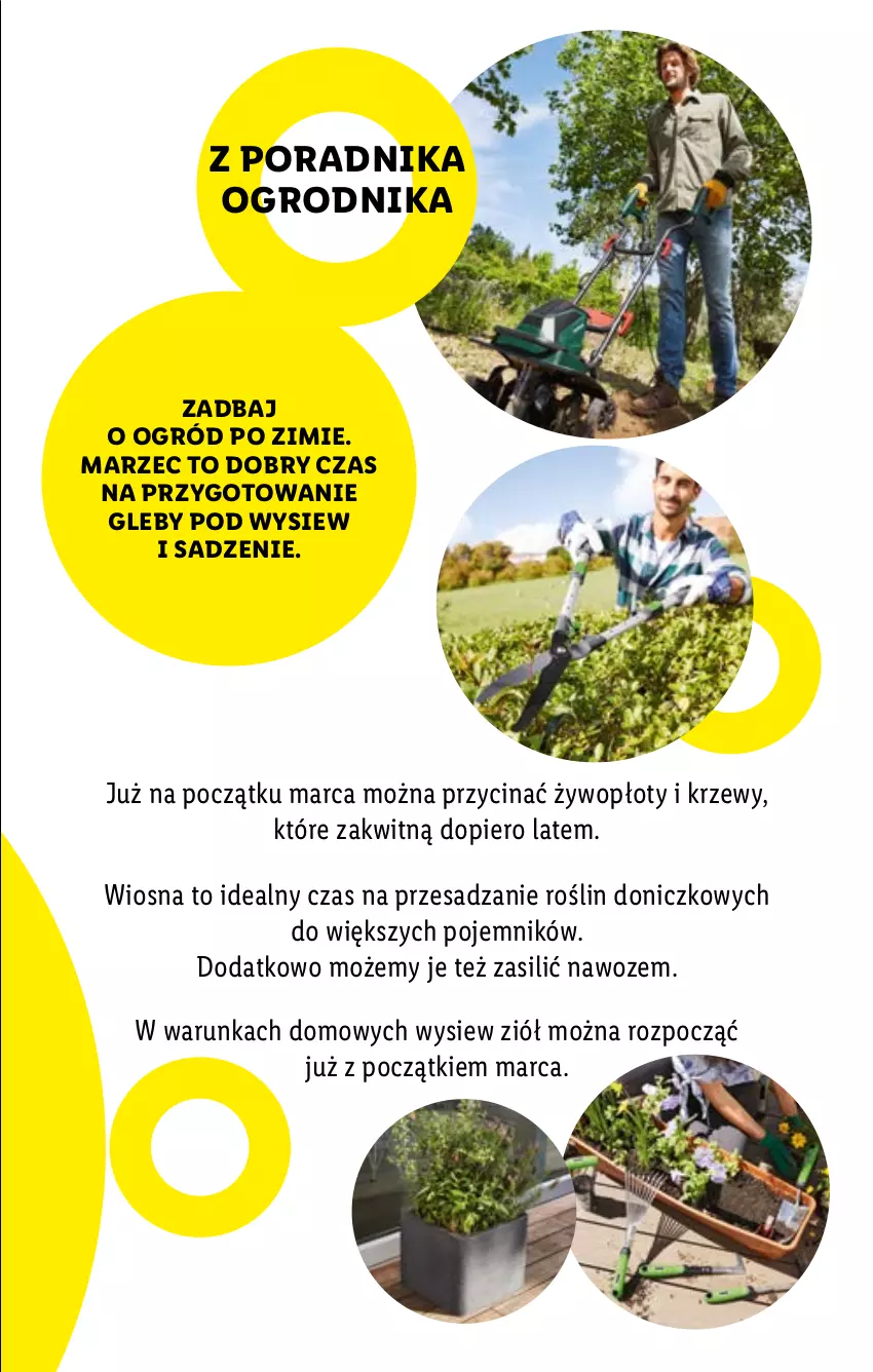 Gazetka promocyjna Lidl - KATALOG SKLEPU ONLINE - ważna 01.03 do 31.03.2021 - strona 3 - produkty: Ogród, Pojemnik, Por