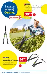 Gazetka promocyjna Lidl - KATALOG SKLEPU ONLINE - Gazetka - ważna od 31.03 do 31.03.2021 - strona 10 - produkty: Teleskop, Noż, Nożyce, Sekator, Fa