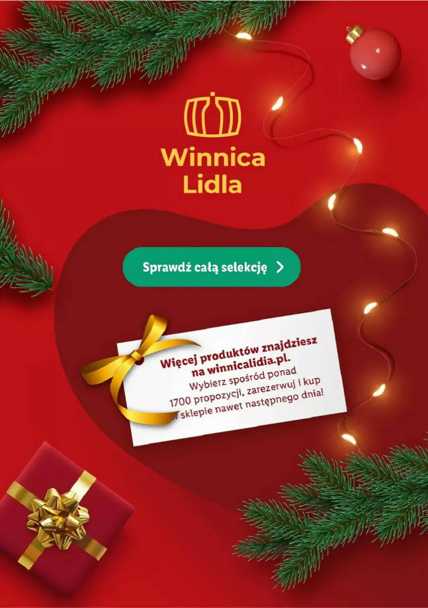 Gazetka promocyjna Lidl - ważna 01.12 do 24.12.2023 - strona 7