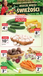 Gazetka promocyjna Intermarche - Gazetka promocyjna - Gazetka - ważna od 19.02 do 19.02.2025 - strona 14 - produkty: Piec, Por, Ogórek, Czosnek, Siatka, Pieczarka, Imbir