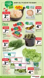 Gazetka promocyjna Intermarche - Gazetka promocyjna - Gazetka - ważna od 19.02 do 19.02.2025 - strona 15 - produkty: Por, Ogórek, Sałat, Natka pietruszki, Masło, Szpinak
