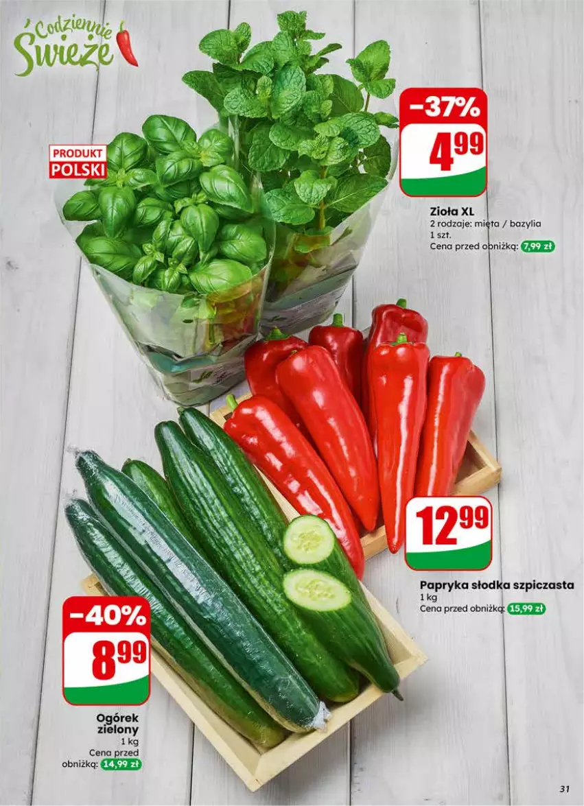 Gazetka promocyjna Dino - Gazetka 11 / 2026 - ważna 11.03 do 17.03.2026 - strona 31 - produkty: Bazyl, Bazylia, Mięta, Ogórek, Papryka, Papryka słodka, Szpic