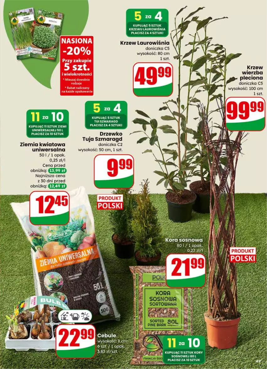 Gazetka promocyjna Dino - Gazetka 11 / 2026 - ważna 11.03 do 17.03.2026 - strona 49 - produkty: Laur, Sok, Sos