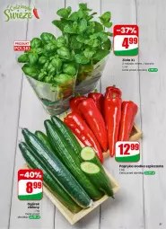 Gazetka promocyjna Dino - Gazetka 11 / 2026 - Gazetka - ważna od 17.03 do 17.03.2026 - strona 31 - produkty: Papryka słodka, Papryka, Ogórek, Szpic, Bazyl, Bazylia, Mięta