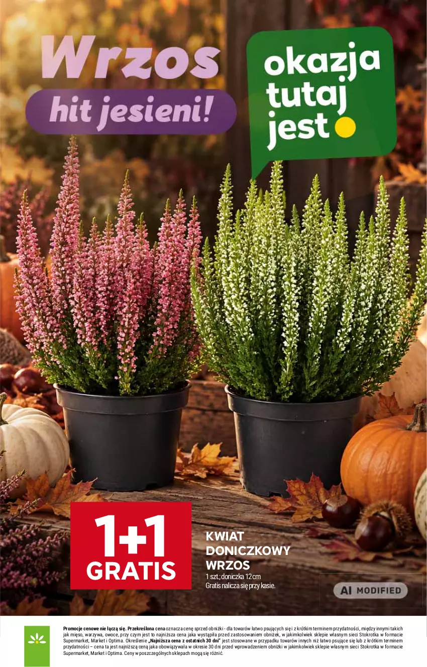 Gazetka promocyjna Stokrotka - Market - ważna 17.09 do 23.09.2026 - strona 13 - produkty: Gra, Mięso, Optima, Owoce, Warzywa