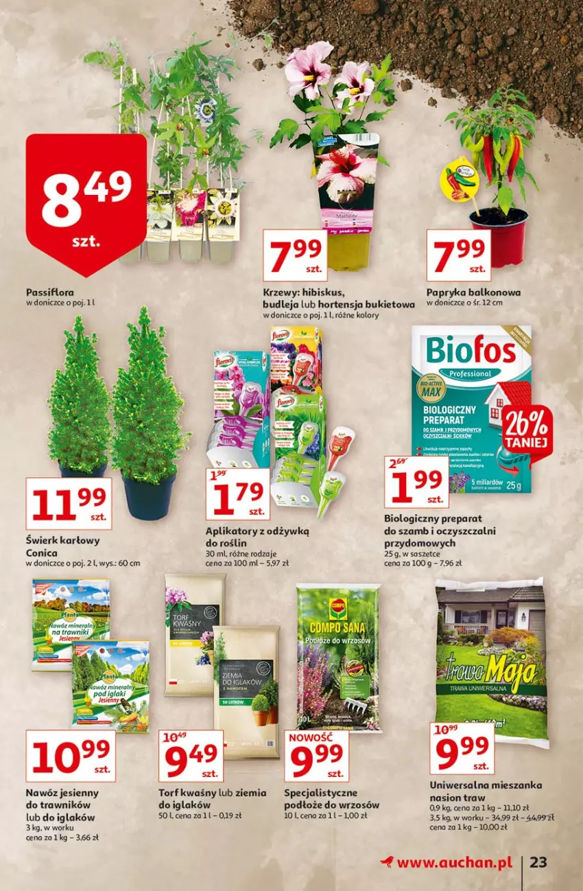 Gazetka promocyjna Auchan - Rysuje się coś wartego zapisania Hipermarkety - ważna 26.08 do 01.09.2021 - strona 23 - produkty: Bukiet, Fa, Flora, Hibiskus, Nawóz, Papryka
