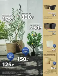 Gazetka promocyjna Jysk - Gazetka - ważna od 11.05 do 11.05.2025 - strona 24 - produkty: Gra, Kosz, Roślina sztuczna