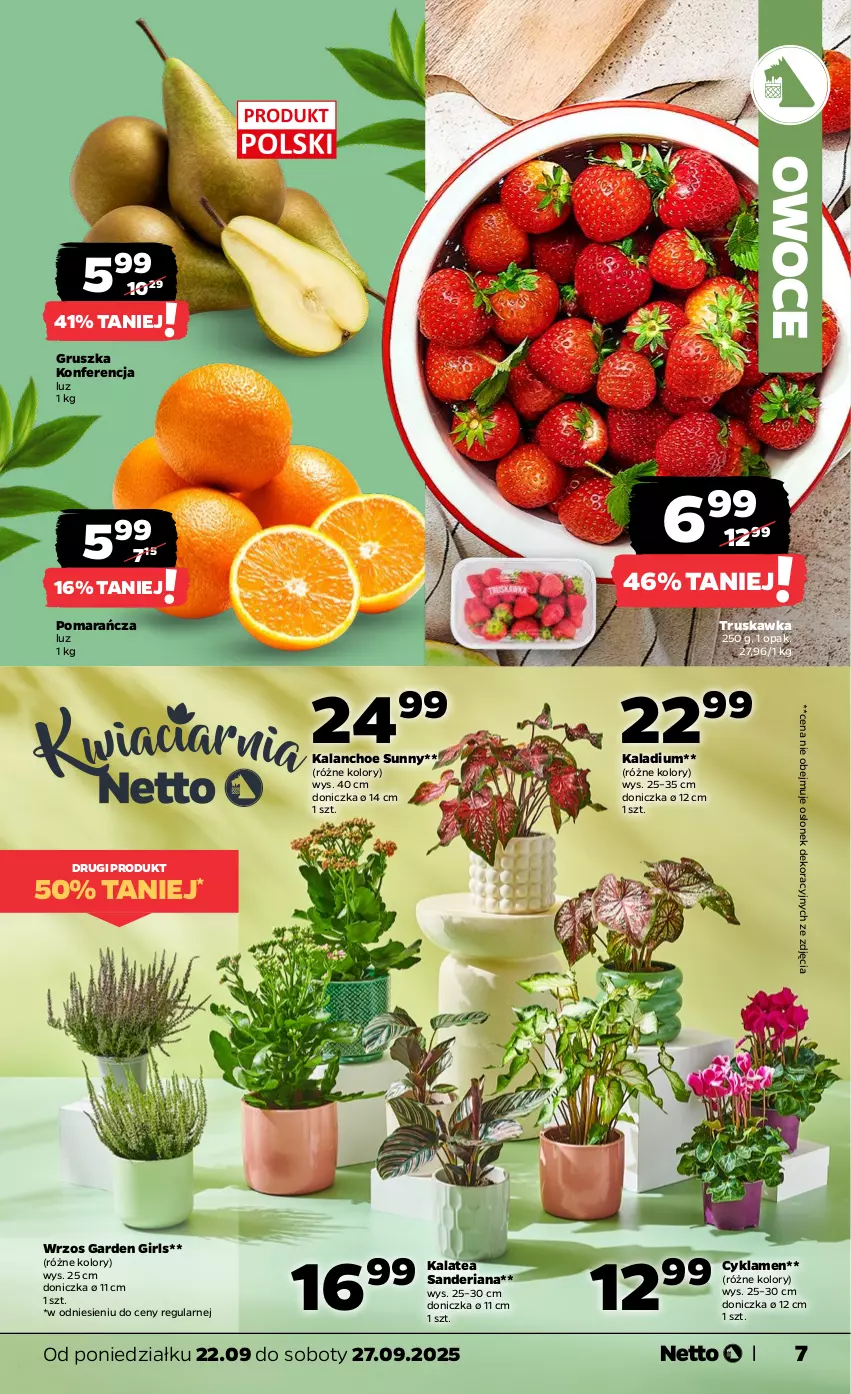Gazetka promocyjna Netto - Od Poniedziałku - ważna 22.09 do 27.09.2025 - strona 7 - produkty: Cyklamen, Kalanchoe, Owoce