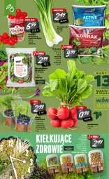 Gazetka promocyjna Netto - Gazetka tygodnia - Gazetka - ważna od 06.03 do 06.03.2021 - strona 4 - produkty: Fasoli mung, Zdrowie, Sałat, Kiełki, Masło, Rzodkiewka, Szpinak, Fa