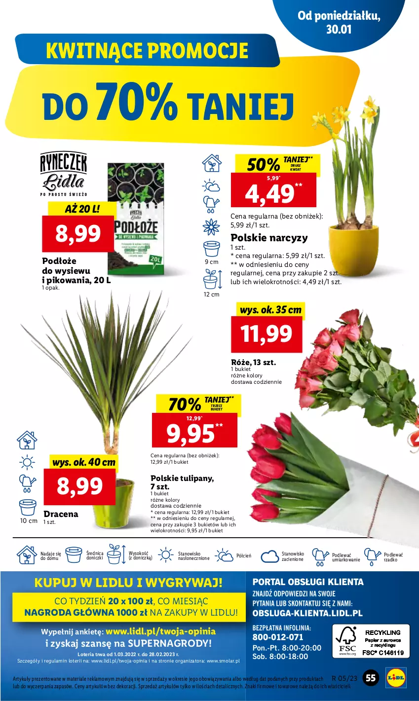 Gazetka promocyjna Lidl - GAZETKA - ważna 30.01 do 01.02.2023 - strona 65 - produkty: Bukiet, Cień, Gry, Mola, Narcyz, O nas, Sok, Tulipan