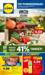 Gazetka promocyjna Lidl - GAZETKA - Gazetka - ważna od 01.02 do 01.02.2023 - strona 1 - produkty: Warzywa, Por, Gra, Kiwi, Schab wieprzowy, Olej rzepakowy, Olej