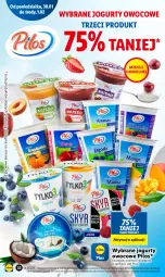 Gazetka promocyjna Lidl - GAZETKA - Gazetka - ważna od 01.02 do 01.02.2023 - strona 36 - produkty: Jogurt, Pilos