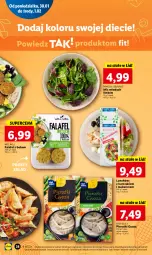 Gazetka promocyjna Lidl - GAZETKA - Gazetka - ważna od 01.02 do 01.02.2023 - strona 44 - produkty: Kurczak, Makaron, Fa