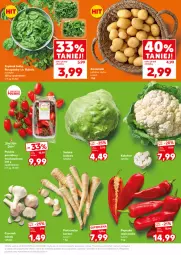 Gazetka promocyjna Kaufland - Mocny Start - Gazetka - ważna od 23.04 do 23.04.2025 - strona 13 - produkty: Kalafior, Pietruszka, Roszponka, Papryka, Czosnek, Rukola, Ziemniaki, Sałat, Szpinak, LG