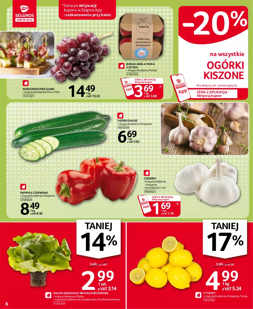 Gazetka promocyjna Selgros - Oferta spożywcza - ważna 07.01 do 20.01.2021 - strona 6