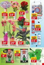 Gazetka promocyjna Twoj Market - Gazetka - ważna od 25.06 do 25.06.2024 - strona 44 - produkty: AEG, Róża, Wazon, Storczyk, Bukiet, Osłonka
