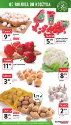 Gazetka promocyjna Intermarche - Gazetka - ważna od 22.05 do 22.05.2024 - strona 11 - produkty: Piec, Cebula, Kalafior, Papryka czerwona, Papryka, Czosnek, Pieczarka